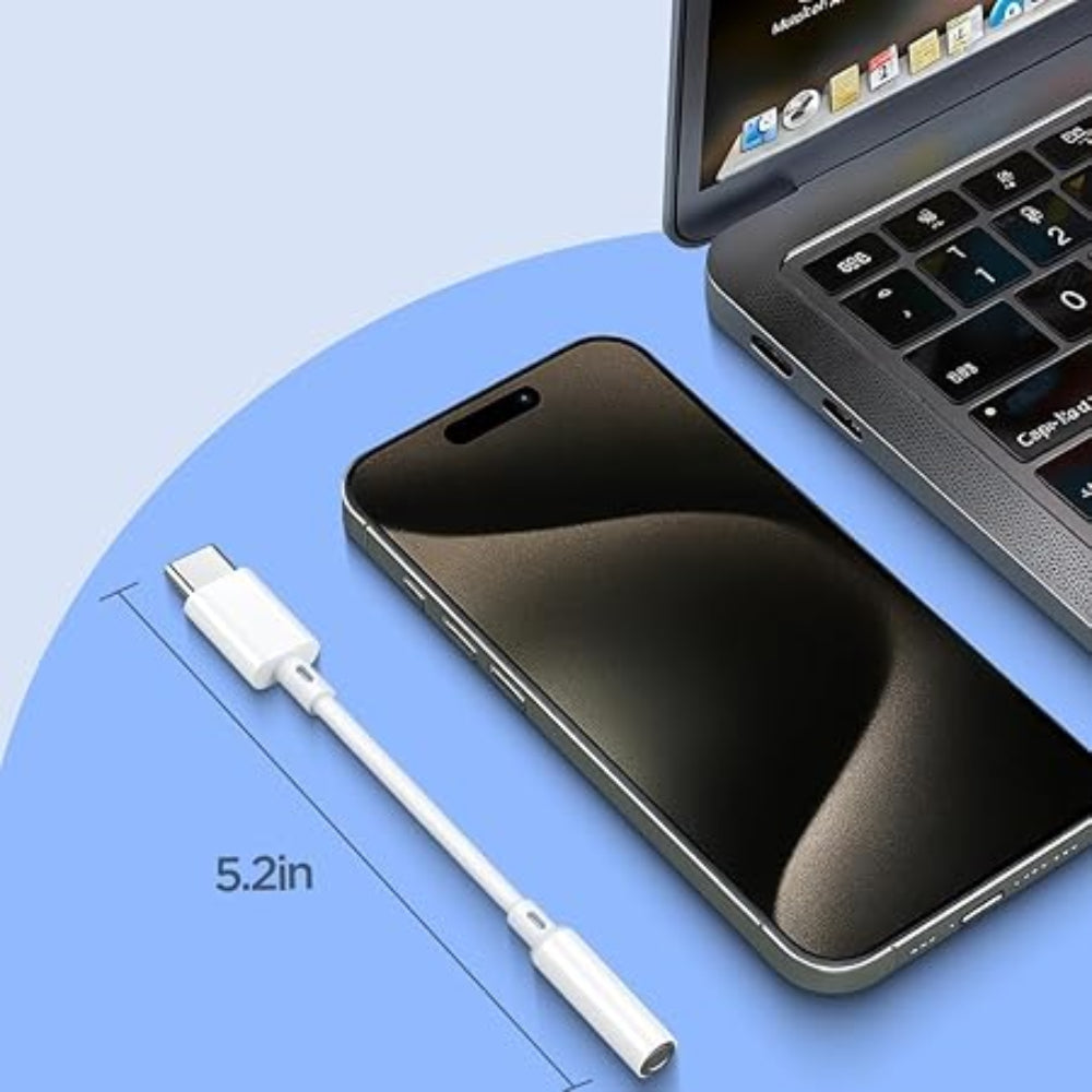 Type C to Aux OTG Cable